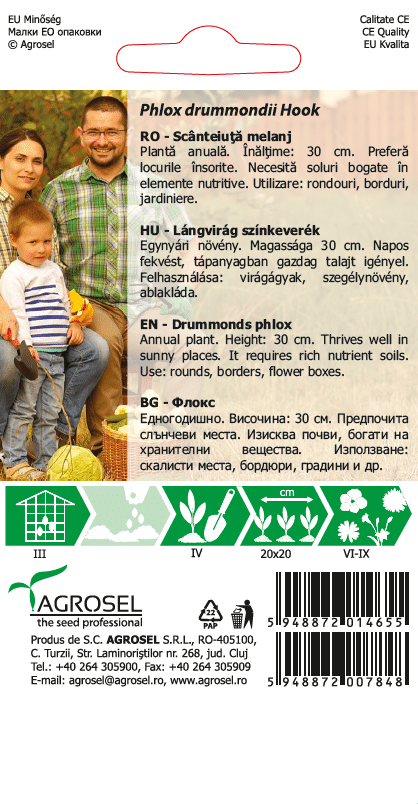 Sommerfloks Lyserød - Phlox drummondii hook - PG2