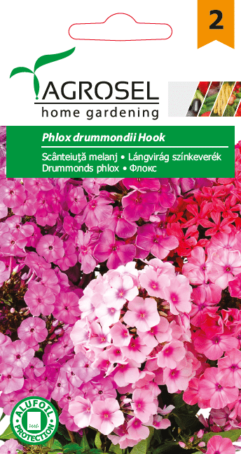 Sommerfloks Lyserød - Phlox drummondii hook - PG2