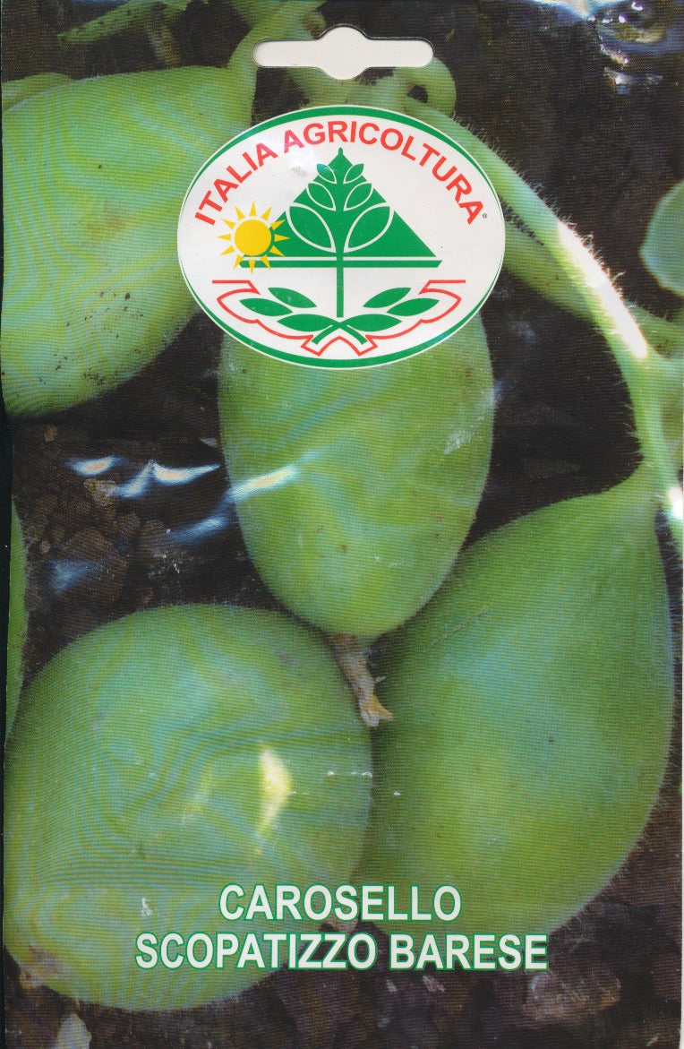 Agurk, Melon - Scopatizzo Barese