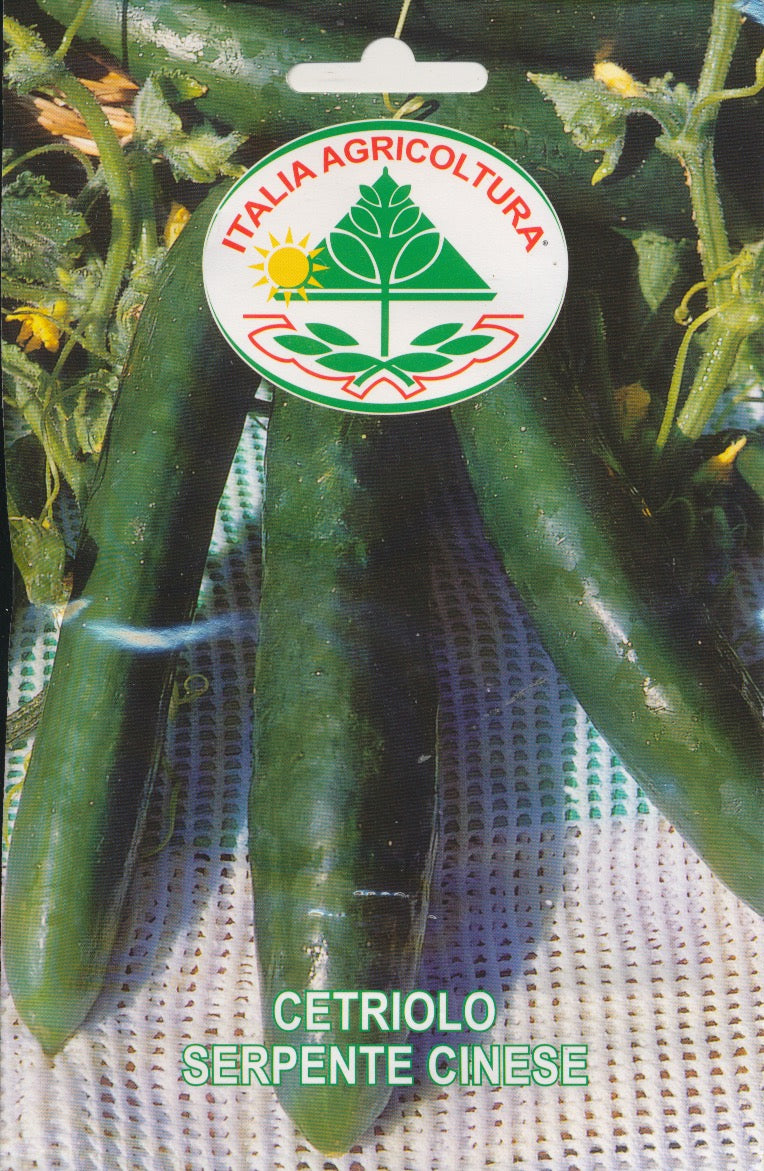 Agurk, salat - Serpente Cinese / Longo Da Cina