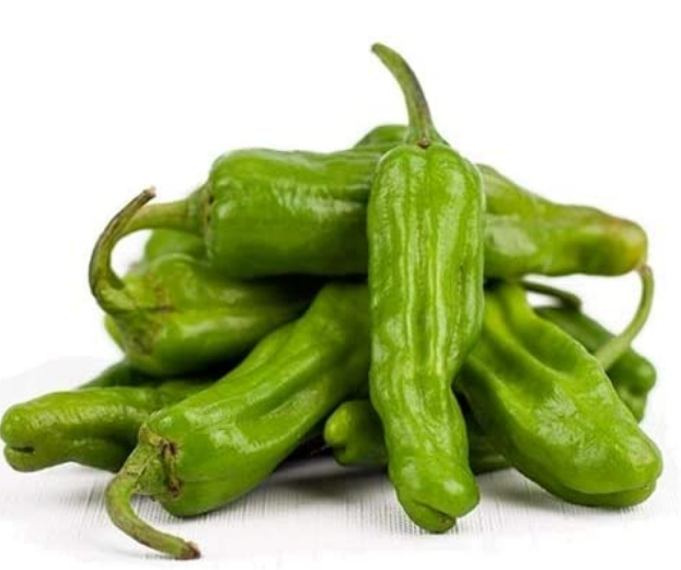 Shishito - Capsicum annuum