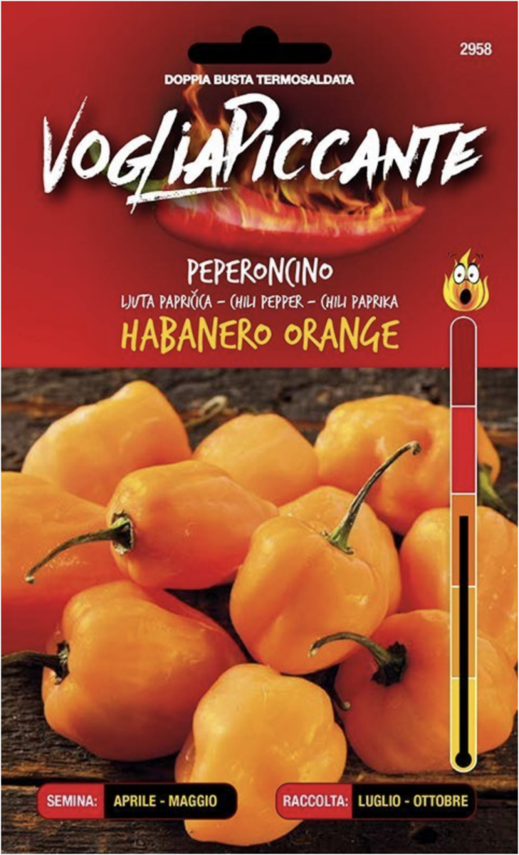 Habanero Orange - C. chinense