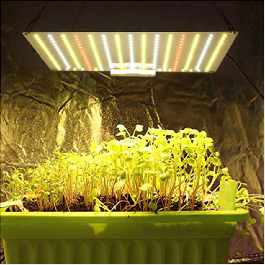Vækstlampe: Quantumboard 850/65W Samsung