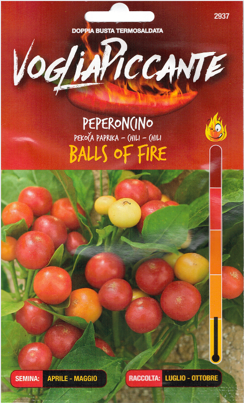 Balls Of Fire - C.chinense