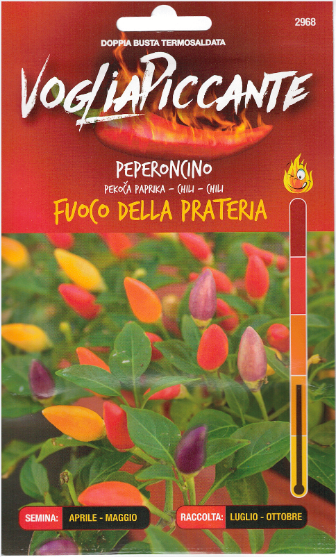 Fuoco Della Prateria - C.chinense