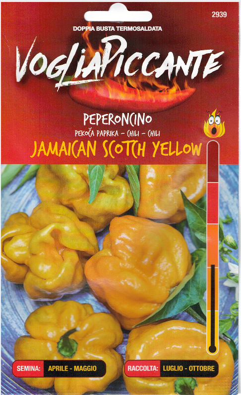 Jamaican Scotch Yellow - C.chinense