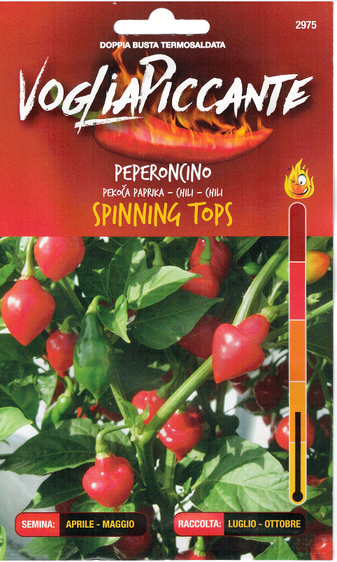 Spinning Tops - C.chinense