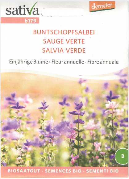 Salvie - Salvia Verde - ØKO