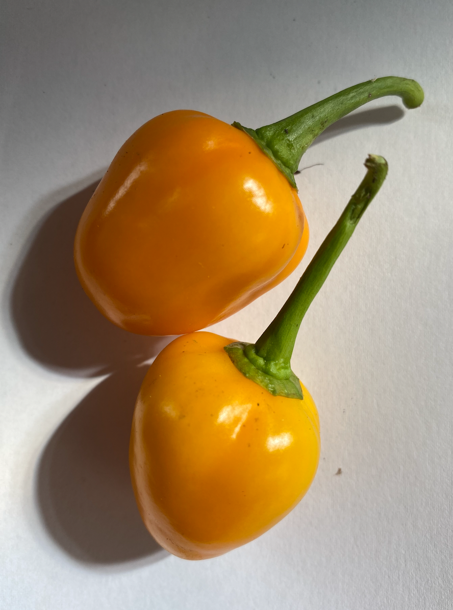 Aji Jobito - 100 gram - Friske Frugter