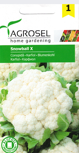 Blomkål - Snowball X - Lille pk.
