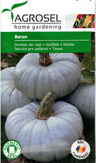 Græskar - Baron - Mellem pk
