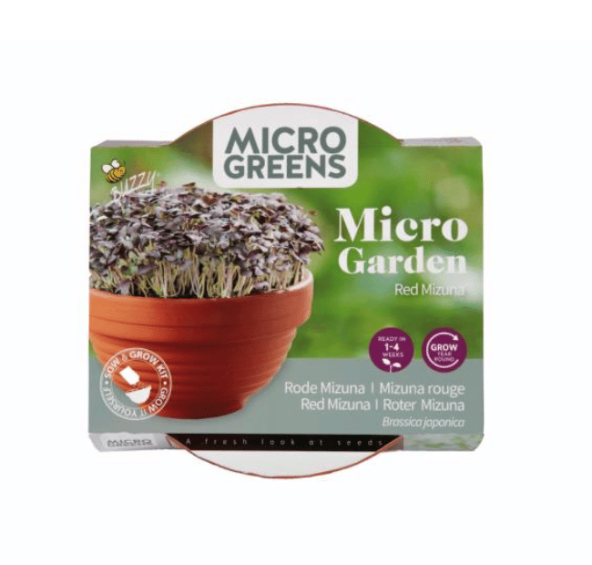 Microgreens Terracotta skål med Rød mizuna