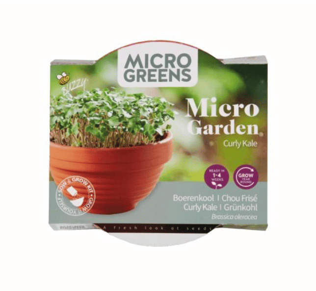 Microgreens Terracotta skål med Grønkål