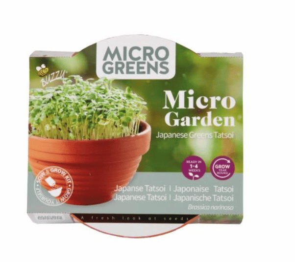 Microgreens Terracotta skål med Tatsoi