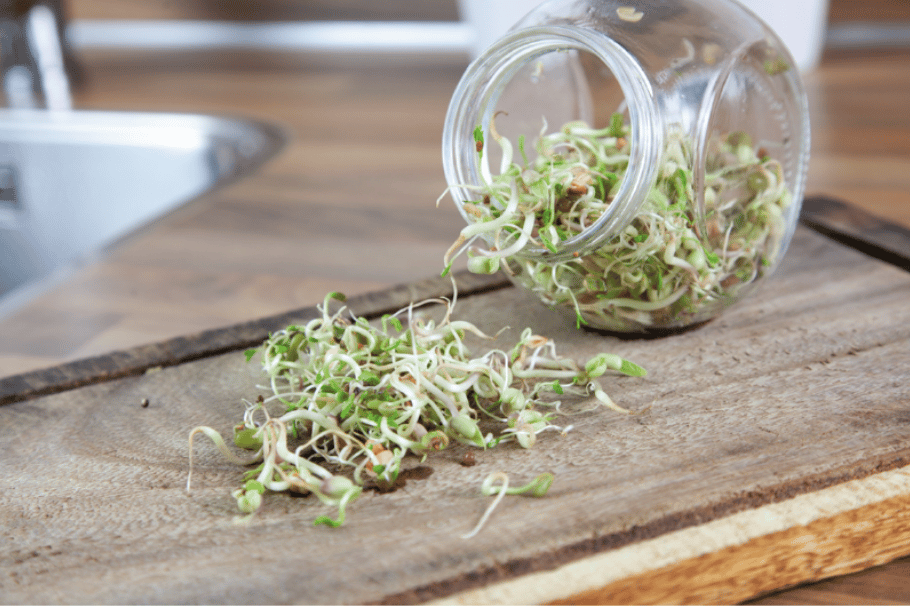 Spirekrukke med salatmix
