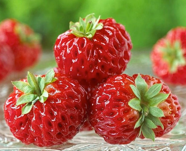 Hindbær Jordbær - Framberry - Plante