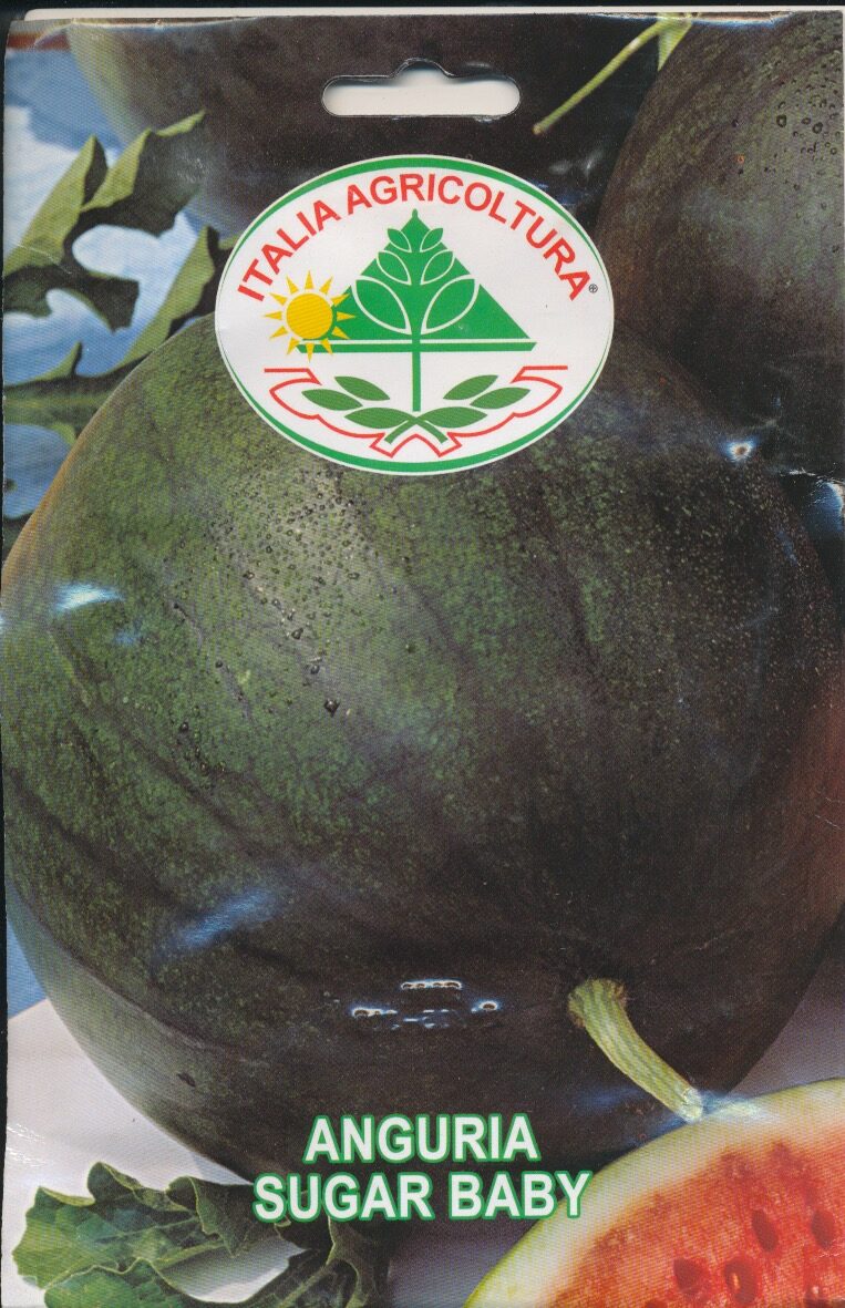 Melon, Vand - Sugar Baby