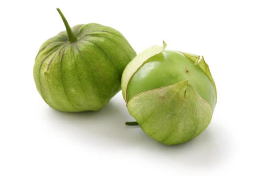 Tomatillo - Physalis ixocarpa - Grün
