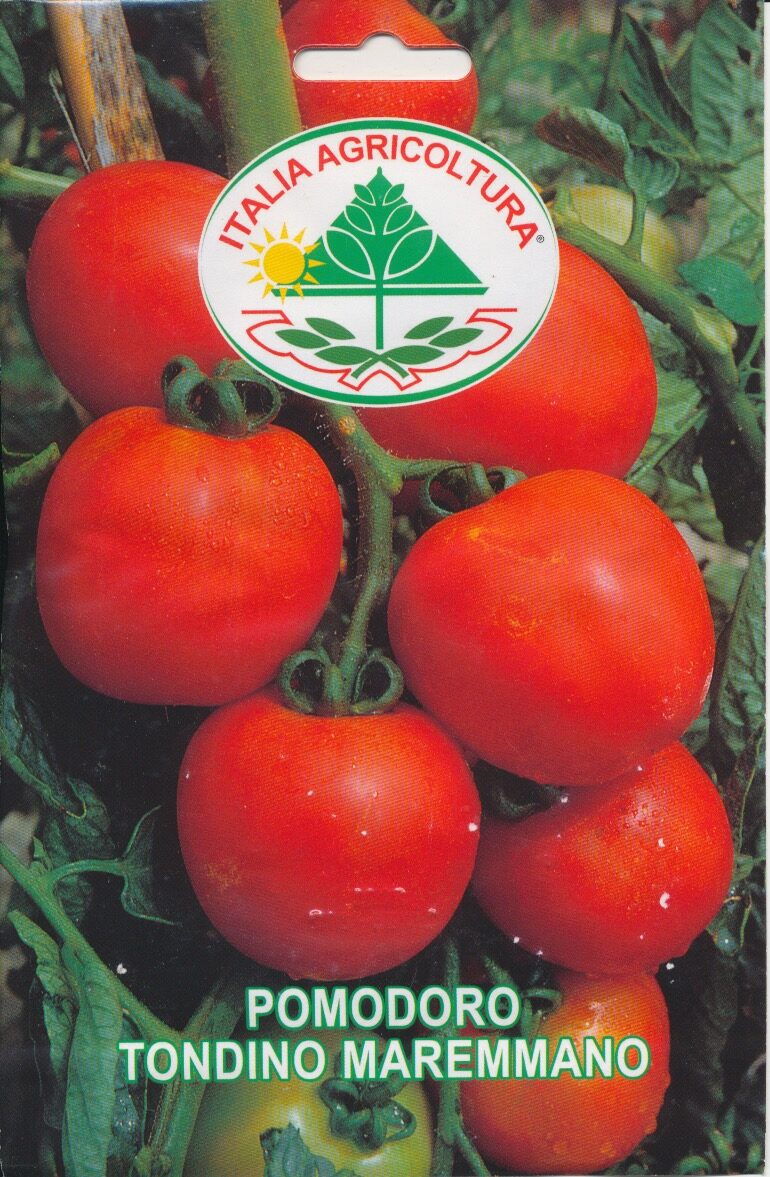 Tomat - Tondino Maremmano - Italia