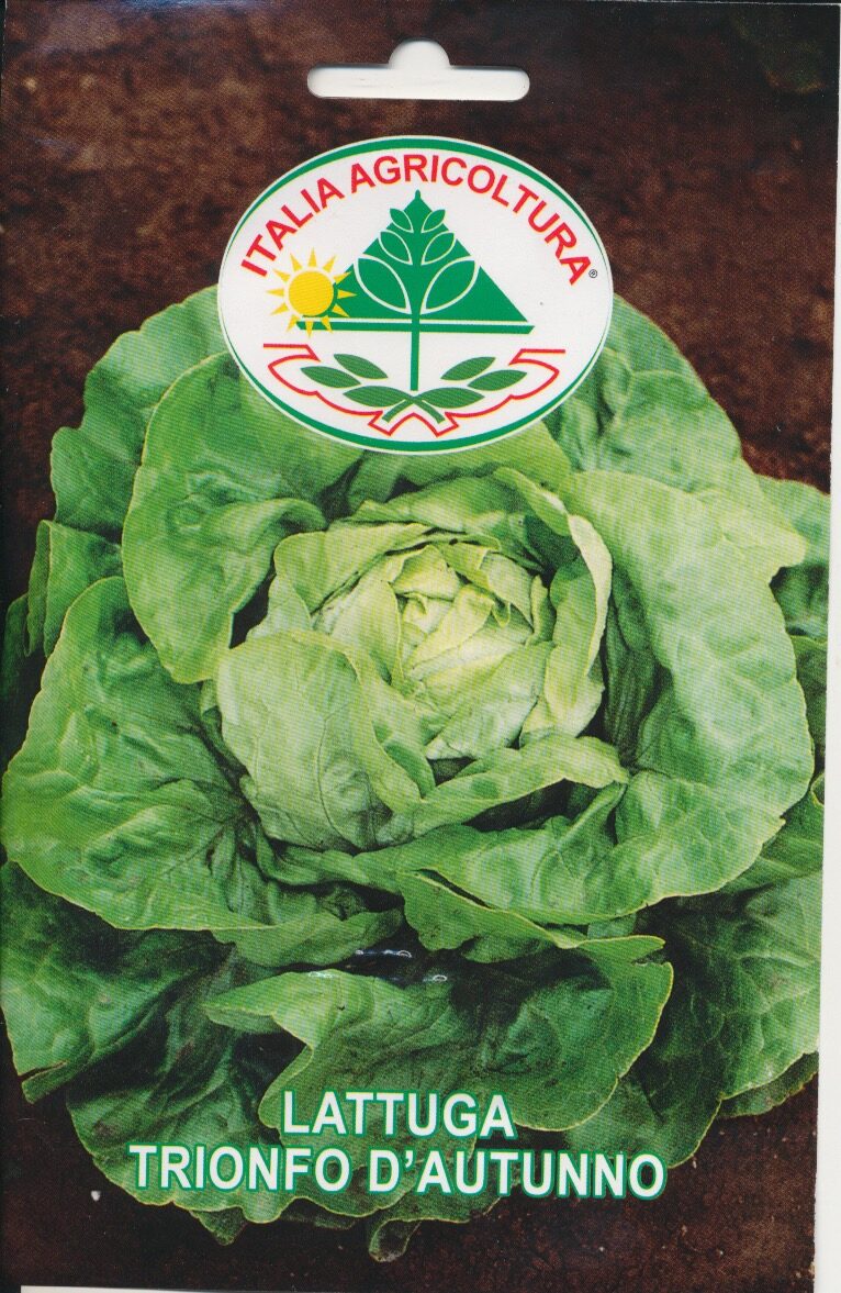 Salat, Blad - Trionfo D'Autunno