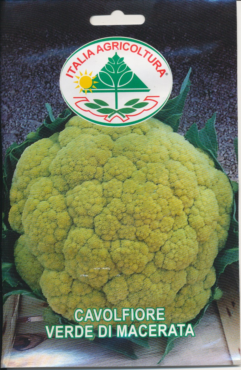 Kål, Blomkål - Verde di Macerata
