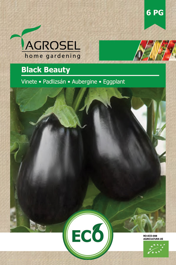 Aubergine - Black Beauty ØKO