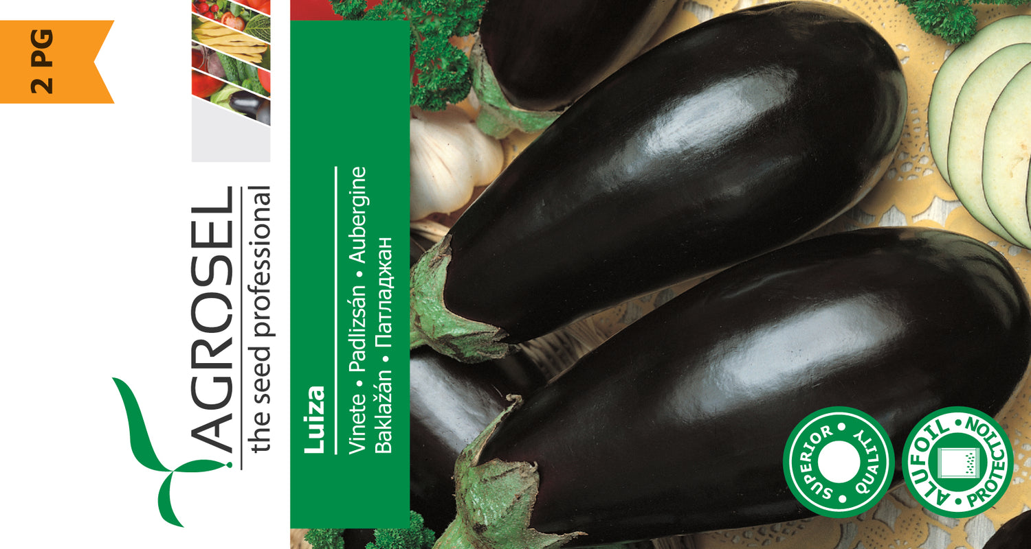Aubergine - Luiza