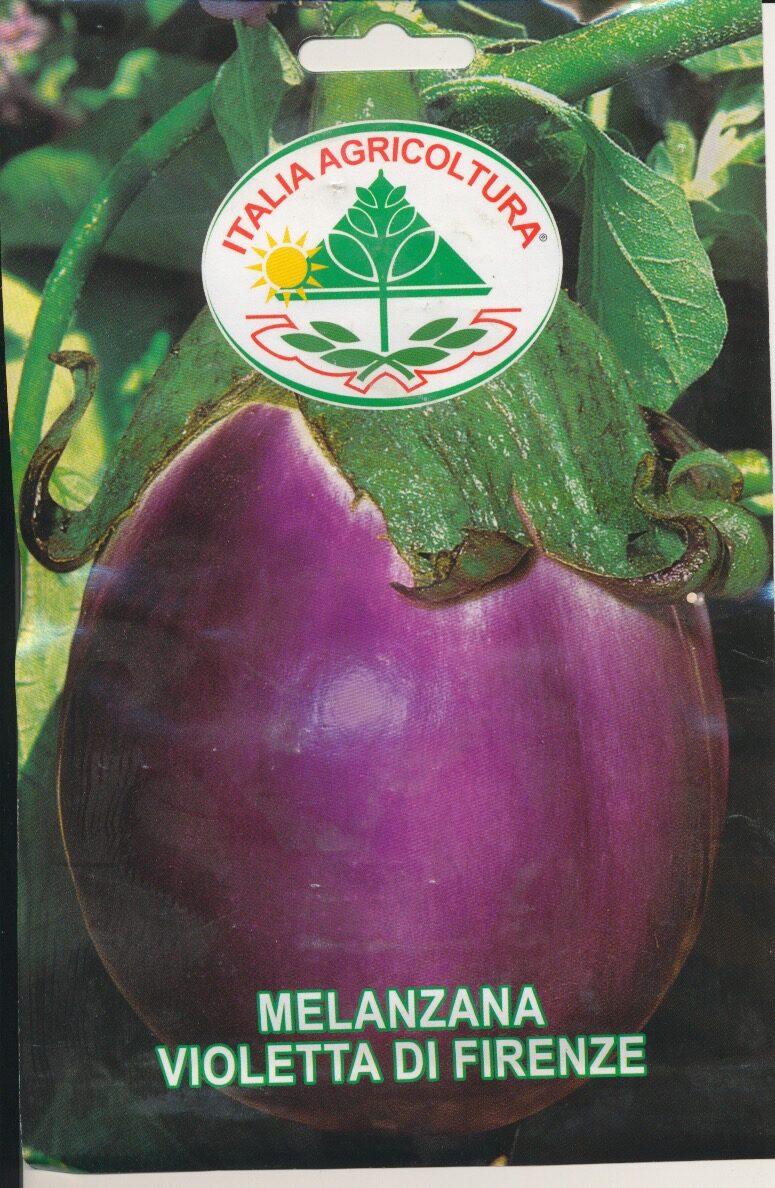 Aubergine - Violetta Di Firenze