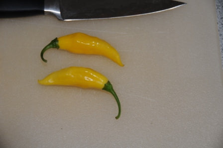 Yellow Pointy - C. chinense
