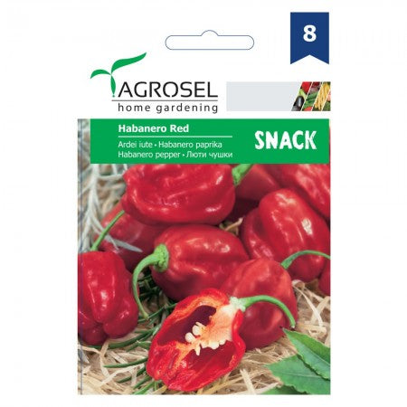 Habanero Red - Chili - capsicum Chinense