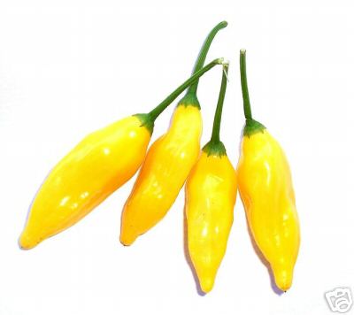 Aji Pineapple - C. baccatum
