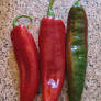 Anaheim C. annuum