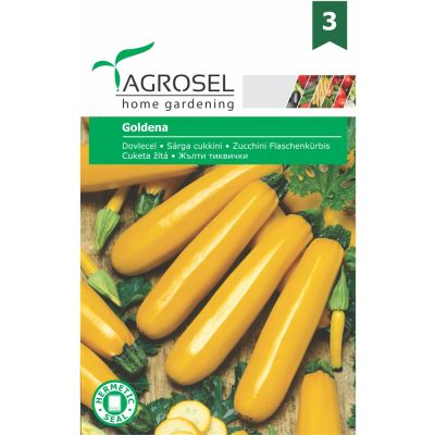 Squash - Goldena - Stor pk