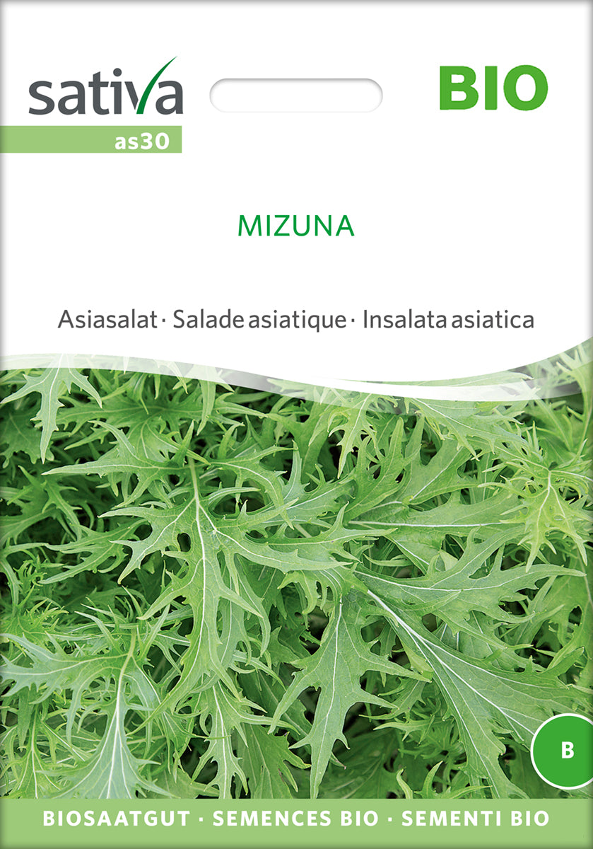 Mizuna - Asiatisk Kål - ØKO