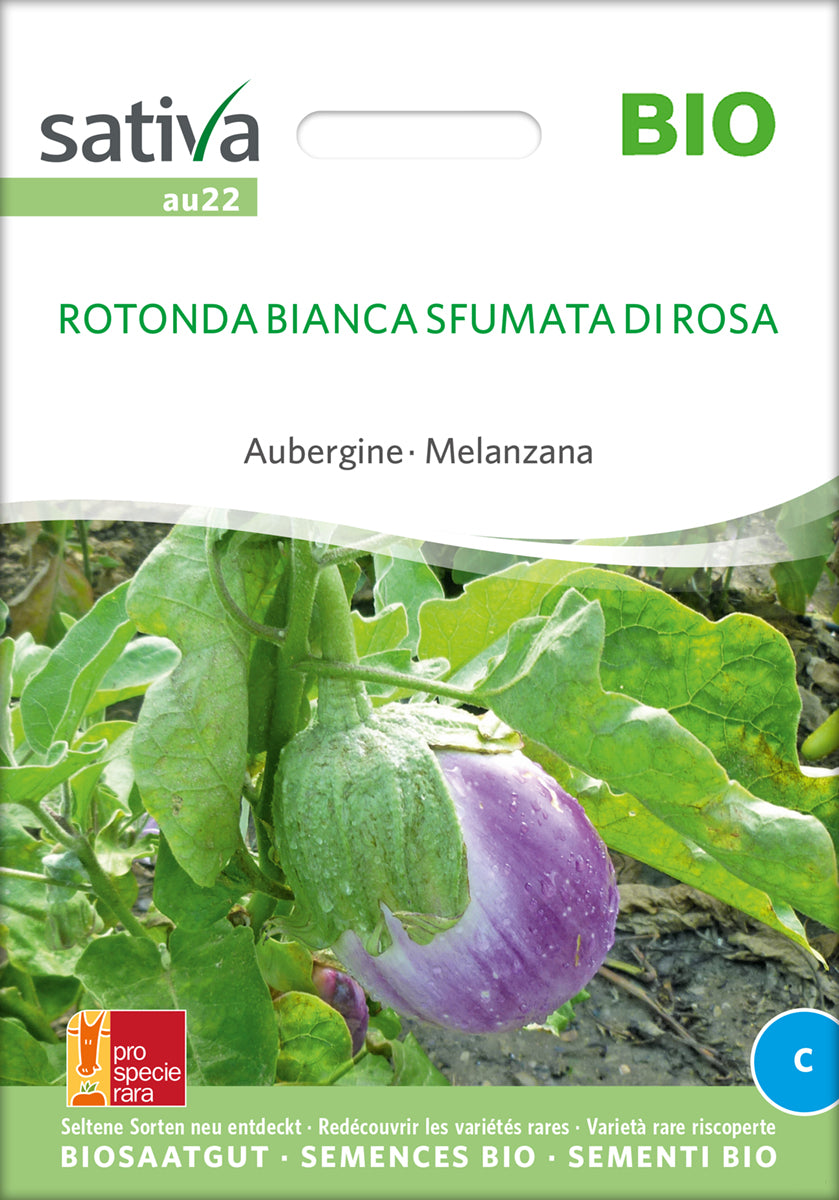 Aubergine - Rotonda Bianca DI Rosa - ØKO