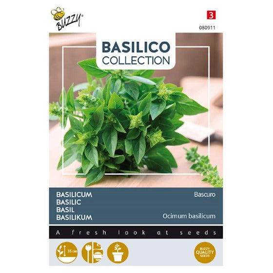 Basilikum - Bascuro