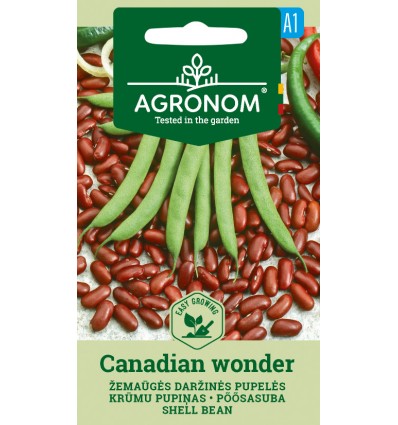 Buskbønne - Canadian wonder