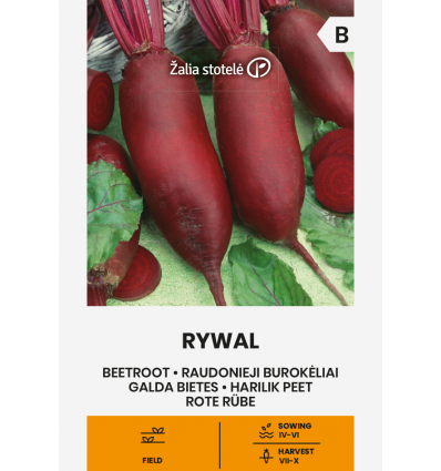 Rødbede - Rywal