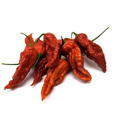 Bhut Jolokia Rust - C.chinense