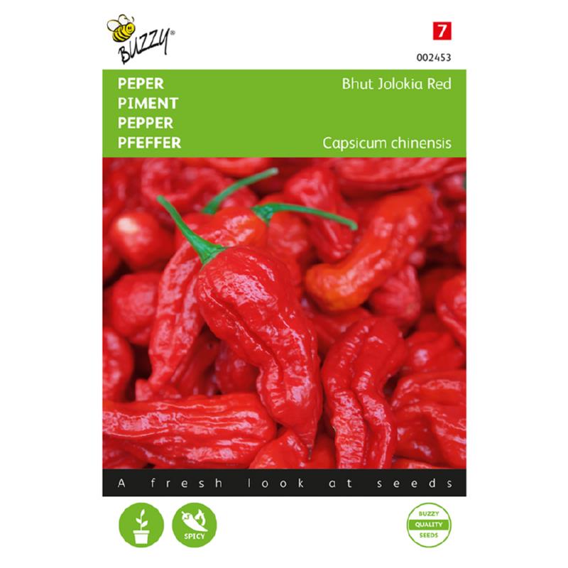Bhut Jolokia - C. chinense