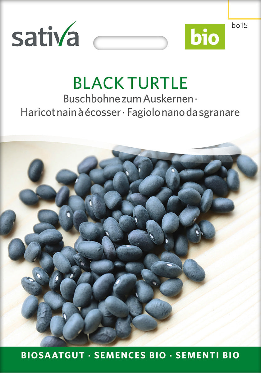 Bønne - Black turtle - ØKO