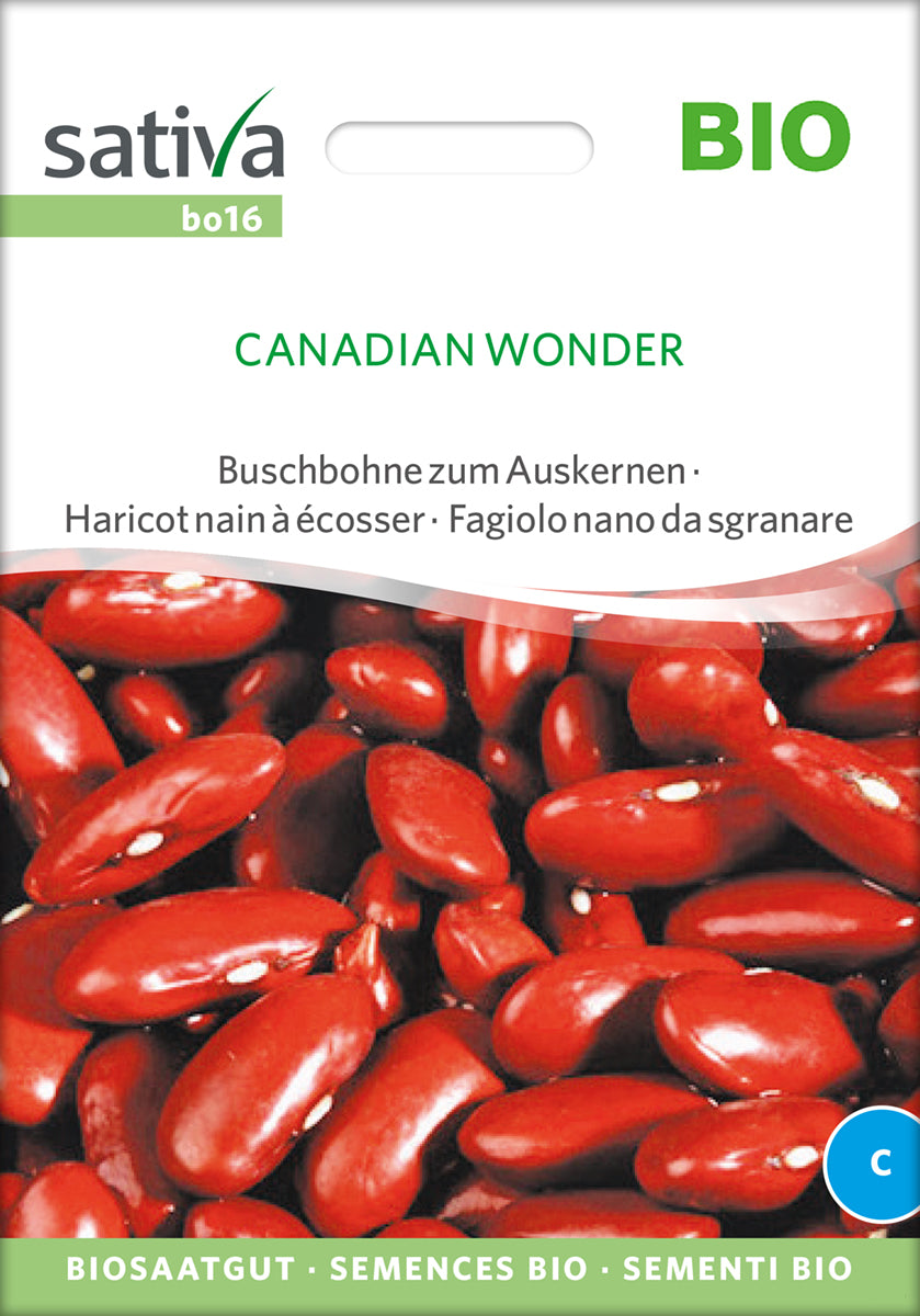 Buskbønne - Canadian Wonder - ØKO