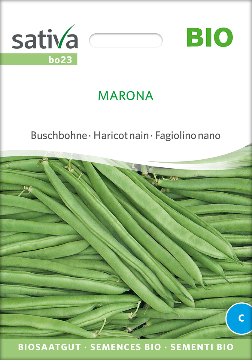 Buskbønne - Marona - ØKO