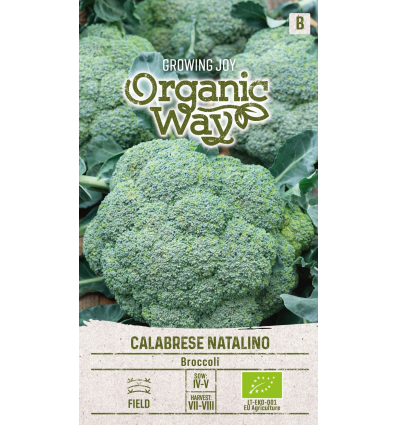 Broccoli - Calabrese Natalino - ØKO