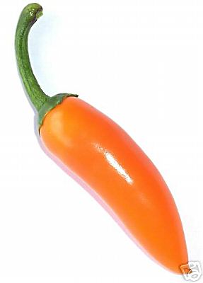 Bulgarian Carrot - C. annuum