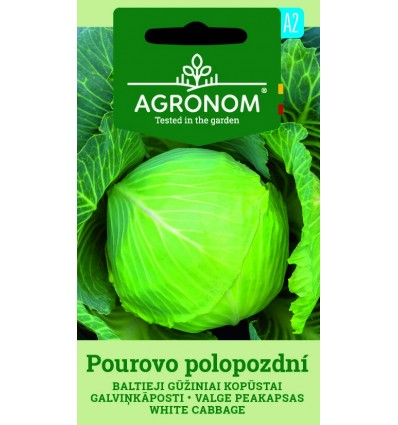 Hvidkål - Pourovo Polopozdni