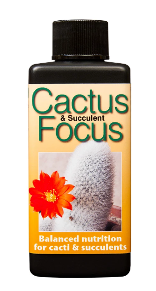 GT Cactus og Succulent focus 300 ml