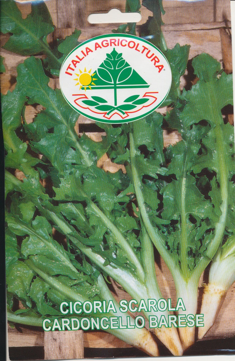 Cikorie, Blad - Cardoncello Barese