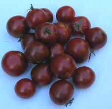 Chocolate Cherry - Tomat