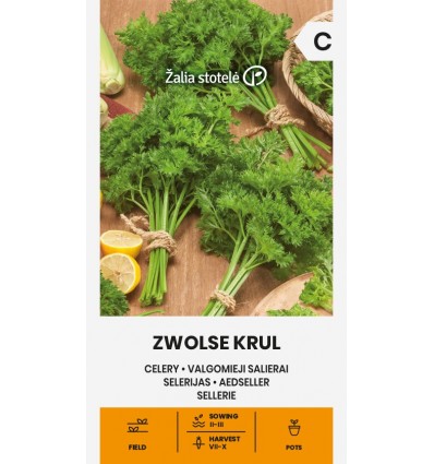 Bladselleri - Zwolse krul - Apium Graveolens L